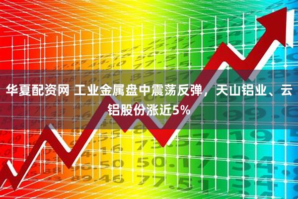 华夏配资网 工业金属盘中震荡反弹，天山铝业、云铝股份涨近5%